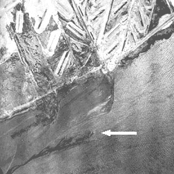 pier after the explosion