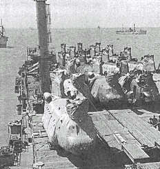 USNS Point Cruz loaded with CH-47 helicopters, F-5 fighters