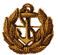 Officer collar insignia