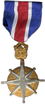 Distinguished Service Medal