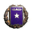 Son in Service pin