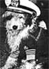 Admiral Rags station mascot
